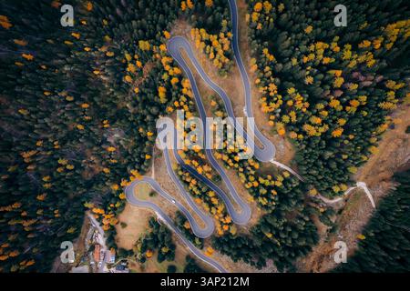 Veduta aerea della strada di montagna che attraversa la foresta, le Dolomiti, Italia. Foto Stock
