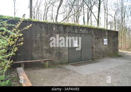 Bunker ospedaliero vicino a Kasteel De Haere, Olst, Paesi Bassi Foto Stock