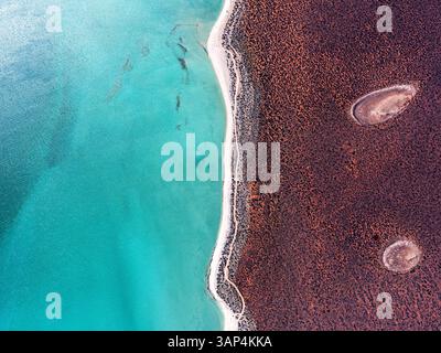 Vista aerea di Shark Bay, area patrimonio dell'umanità, Nanga, Australia Occidentale, Australia. Foto Stock