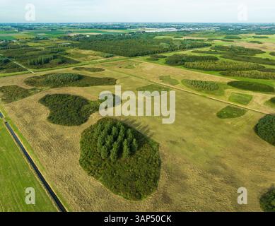 Veduta aerea di pezzi di foresta e prateria nella nuova area naturale di Bentwoud, Benthuizen, Zuid-Holland, Paesi Bassi. Foto Stock