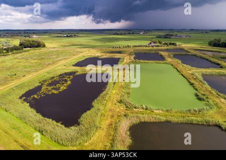 Vista aerea della riserva naturale Volgermeerpolder, costruita in cima a un ex sito di smaltimento dei rifiuti, con doccia a pioggia e alghe blu-verdi Foto Stock
