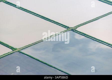 Vista aerea di risaie tranquille e tranquille con motivi geometrici e riflessi sull'acqua, Krasnodar Krai, Russia. Foto Stock