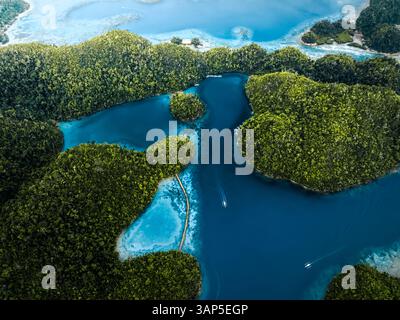 Veduta aerea di un catamarano che naviga sulla costa della Laguna Blu di Sugba, una laguna tropicale nell'isola di Siargao, Surigao del Norte, Filippine. Foto Stock