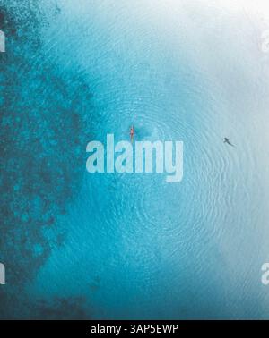 Vista aerea di una persona che nuota nell'oceano insieme a un paio di squali lungo la costa dell'atollo, l'atollo di Malé, Maldive. Foto Stock