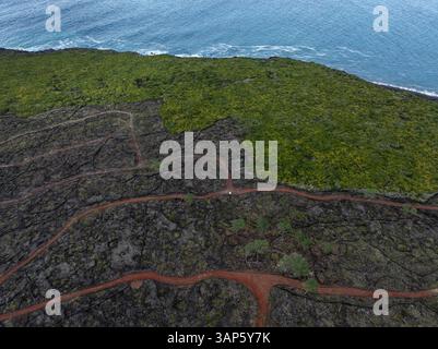 Vista aerea degli antichi vigneti vulcanici con costa frastagliata e sentieri panoramici, Pico Island, Azzorre, Portogallo. Foto Stock