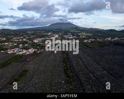 Vista aerea di antichi vigneti vulcanici con un bellissimo paesaggio e villaggio tradizionale, isola di Pico, Azzorre, Portogallo. Foto Stock