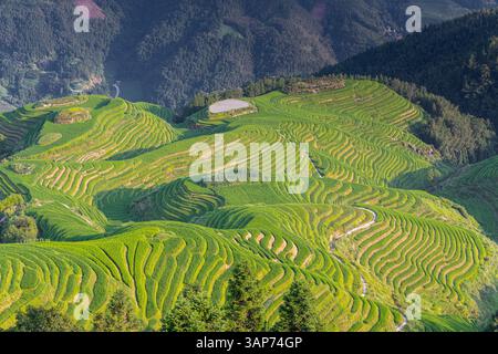 Sette stelle accompagnano la Luna, parte della dorsale del Drago, o Longji Rice Terraces, situata vicino al villaggio di Ping'an nel northe Foto Stock