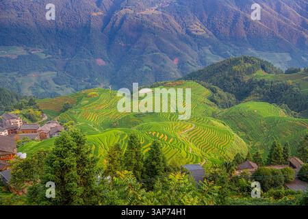Sette stelle accompagnano la Luna, parte della dorsale del Drago, o Longji Rice Terraces, situata vicino al villaggio di Ping'an nel northe Foto Stock