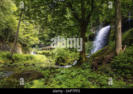 Vecchia centrale idroelettrica di Niezelgrund, cascata della gola di Lohmen Foto Stock