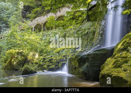Vecchia centrale idroelettrica di Niezelgrund, cascata della gola di Lohmen Foto Stock