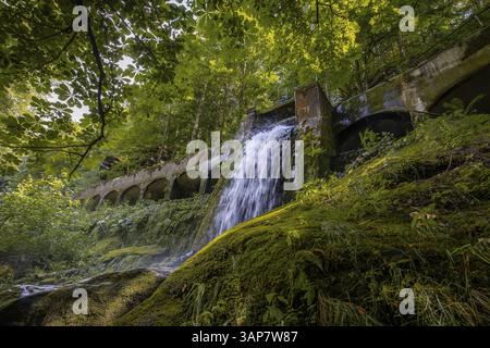 Vecchia centrale idroelettrica di Niezelgrund, cascata della gola di Lohmen Foto Stock