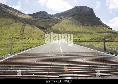 Griglia di bestiame sulle Isole Faroe con montagna sullo sfondo, Isole Faroe, Danimarca, Europa Foto Stock