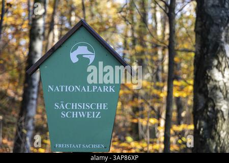 Impressioni autunnali dalla Svizzera sassone Foto Stock
