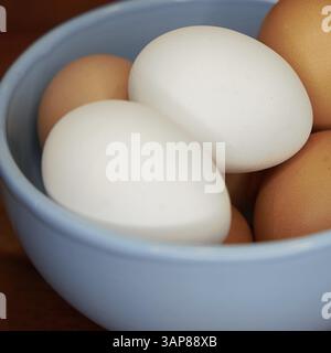 Uova fresche marroni e bianche in una ciotola su un tavolo da cucina Foto Stock