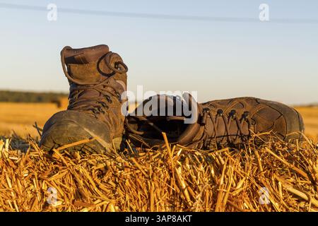 Scarponi da trekking al sole serale su un campo Foto Stock