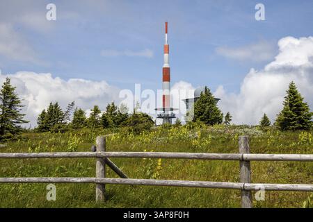 Impressioni foto dal Parco Nazionale di Harz sull'altopiano di Brocken Foto Stock