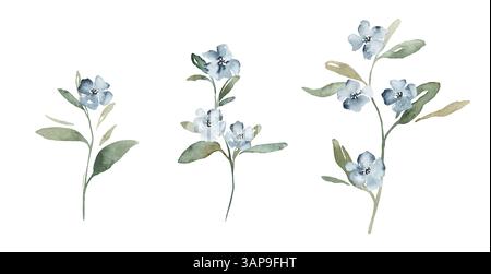 Set di acquerelli con macchie di fiori blu e foglie verdi. Boccali illustrativi disegnati a mano su sfondo bianco isolato. Morbidi acquerelli pastello iridescenti. Foto Stock