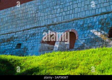 Il muro di mattoni è coperto di muschio e contiene alcuni fori. L'erba è verde e il muro è grigio Foto Stock
