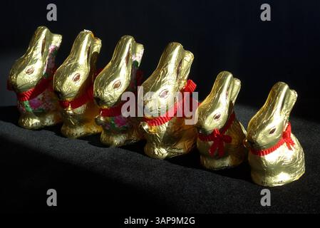 Lindt-Goldhasen in zwei verschiedenen Größen: 50 und 100 Gramm *** Lindt Gold Bunny in due diverse misure, 50 e 100 grammi Foto Stock