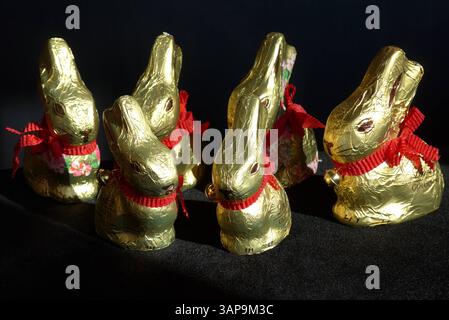 Lindt-Goldhasen in zwei verschiedenen Größen: 50 und 100 Gramm *** Lindt Gold Bunny in due diverse misure, 50 e 100 grammi Foto Stock