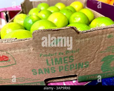 lime, cassa di cartone, limi di Sans Pepins, prodotto del Brasile, agrumi del Brasile, esportatore brasiliano di frutta, industria agricola, distribuzione di prodotti alimentari Foto Stock