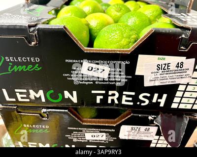 Limes selezionati di dimensioni 48 marchiati da Lemon Fresh in una cassa etichettata, pronti per la distribuzione o la vendita al dettaglio, prodotti agrumati freschi del Brasile esportati Foto Stock