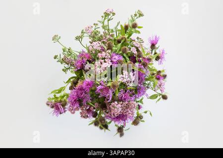 Bouquet di fiori viola sullo sfondo grigio. Vista dall'alto. Primo piano. Foto Stock