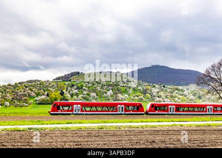 Tälesbahn. Frühling am Albtrauf im Lenninger tal. Blühende Obstbäume auf den Streuobstwiesen rund um die Burg Teck. // 15.04.2025: Owen, Baden-Württemberg, Deutschland, Europa *** Tälesbahn Primavera sull'Albtrauf nella valle del Lenninger alberi da frutto in fiore nei frutteti intorno al castello di Teck 15 04 2025 Owen, Baden Württemberg, Germania, Europa Foto Stock