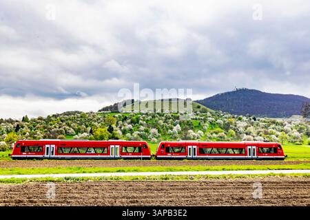 Tälesbahn. Frühling am Albtrauf im Lenninger tal. Blühende Obstbäume auf den Streuobstwiesen rund um die Burg Teck. // 15.04.2025: Owen, Baden-Württemberg, Deutschland, Europa *** Tälesbahn Primavera sull'Albtrauf nella valle del Lenninger alberi da frutto in fiore nei frutteti intorno al castello di Teck 15 04 2025 Owen, Baden Württemberg, Germania, Europa Foto Stock