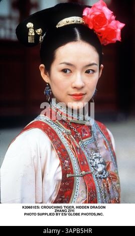 1 GENNAIO 2011 - K20651ES: CROUCHING TIGER, HIDDEN DRAGON. ZHANG ZIYI. FORNITO DA ES/(immagine di credito: © Globe Photos/ZUMAPRESS.com) Foto Stock
