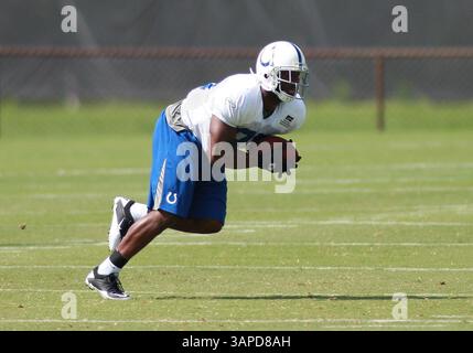 9 agosto 2011: Il wide receiver degli Indianapolis Colts Pierre Garcon (85) durante il training camp degli Indianapolis Colts tenuto alla Anderson University di Anderson, IN. (Immagine di credito: © Pat Lovell/Cal Sport Media/ZUMAPRESS.com) Foto Stock