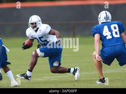 9 agosto 2011: Il wide receiver degli Indianapolis Colts Pierre Garcon (85) durante il training camp degli Indianapolis Colts tenuto alla Anderson University di Anderson, IN. (Immagine di credito: © Pat Lovell/Cal Sport Media/ZUMAPRESS.com) Foto Stock