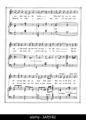 Questo lavoro presenta la poesia "The Birds" da "Songs of the Glens of Antrim" di Moira o'Neill, cantata da Chauncey Olcott. La copertina contiene il titolo e una pubblicità musicale per canzoni di Carrie Jacobs-Bond, tra cui "To-Day" e "A Song of the Hills". Il colore dell'immagine digitale può differire dall'originale e le annotazioni non sono incluse. Foto Stock