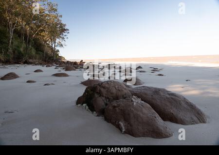 Spiaggia tranquilla con rocce e alberi lussureggianti in luce dolce Foto Stock