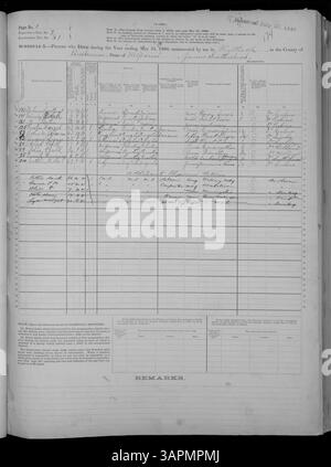Il 1880 Mortality Schedule for Missouri copre le contee di Adair e Franklin, documentando le morti con informazioni demografiche come nome, età e causa di morte. Serve come risorsa storica per comprendere i cambiamenti sanitari e demografici in Missouri all'epoca. Foto Stock
