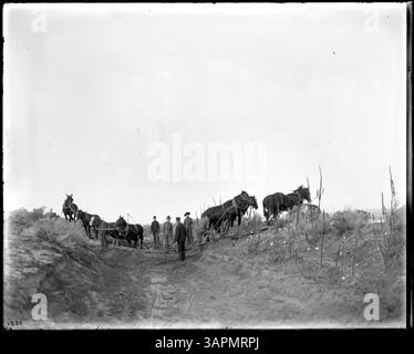 Questa fotografia mostra il processo di scavo del canale di irrigazione Hinkle utilizzando cavalli e raschietti a mano vicino a Pendleton, Oregon. Fa parte della collezione Lee Moorhouse della University of Oregon Libraries. Foto Stock