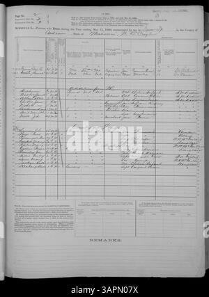 Questo documento, parte della Missouri Historical Society's Census Collection, copre il 1880 Mortality Schedule for Adair to Franklin Counties. Include informazioni dettagliate sulle persone che sono morte in quell'anno. Foto Stock