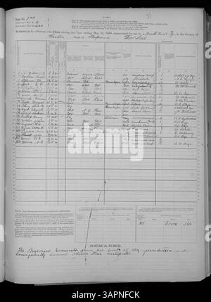 Il programma di mortalità per il 1880 in Missouri copre le contee di Adair e Franklin, offrendo informazioni dettagliate sui tassi di mortalità, sulle cause di morte e sulla composizione demografica di queste contee durante quel periodo. Foto Stock