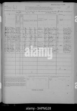 Questo programma di mortalità del 1880 copre i registri di morte per le contee da Adair a Franklin nel Missouri, documentando le cause di morte degli individui, l'età, il sesso e il luogo di morte. Foto Stock