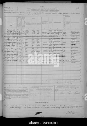 Questo programma di mortalità del censimento degli Stati Uniti del 1880 copre le morti nelle contee del Missouri da Adair a Franklin, con informazioni sull'età, il sesso, la causa della morte e il luogo di morte del defunto. Foto Stock