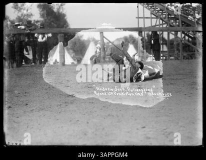 Questa foto di Lee Moorhouse mostra Andrew Jack che partecipa al bulldogging, un evento di rodeo. L'immagine cattura l'azione dinamica di questo sport occidentale all'inizio del XX secolo. Foto Stock