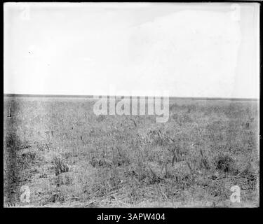 Questa fotografia cattura i campi irrigati dal canale di irrigazione Hinkle vicino a Pendleton, Oregon, mostrando l'impatto dell'irrigazione all'inizio del XX secolo sull'agricoltura della regione. Foto Stock