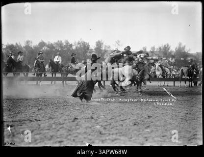 Fotografia di Lee Moorhouse che mostra una donna che canta un manzo. L'immagine cattura un momento di abilità da cowboy durante un rodeo o un'attività di ranch. Foto Stock