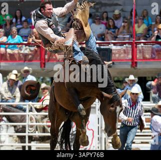25 luglio 2011: Cowboy George Gillespie IV cavalca Ginger mentre gareggia a cavallo in bareback bronc durante la 115esima celebrazione annuale dei Frontier Days al Frontier Park di Cheyenne, Wyoming. (Immagine di credito: © William Mancebo/Cal Sport Media/ZUMAPRESS.com) Foto Stock