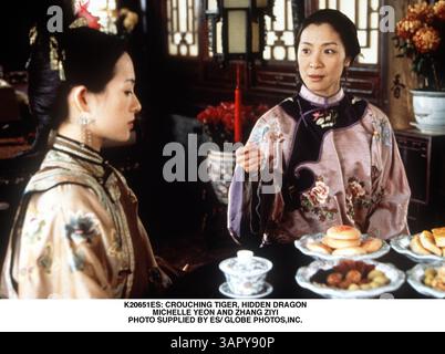 1 GENNAIO 2011 - K20651ES: CROUCHING TIGER, HIDDEN DRAGON. MICHELLE YEON E ZHANG ZIYI. FORNITO DA ES/(immagine di credito: © Globe Photos/ZUMAPRESS.com) Foto Stock