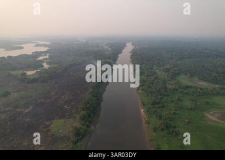 Lussureggiante paesaggio verde lungo un fiume tortuoso nella foresta pluviale amazzonica Foto Stock