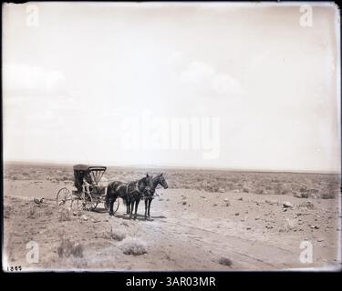La fotografia PH036 1355 di Lee Moorhouse cattura una carrozza trainata da cavalli in un campo, innaffiata dal canale di irrigazione Hinkle vicino a Pendleton, Oregon. L'immagine illustra le prime pratiche agricole e la vita rurale nell'Occidente americano. Foto Stock