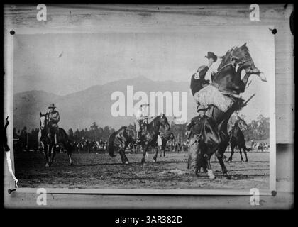 Fotografia di un cavaliere di bronzo in azione, della collezione Lee Moorhouse, che mostra una scena di rodeo occidentale. Foto Stock