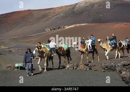 Tour guidato a dorso di cammello per turisti, carovane, dromedari (Camelus dromedarius) in un paesaggio vulcanico privo di vegetazione, montagne di fuoco del Timanfaya National Foto Stock