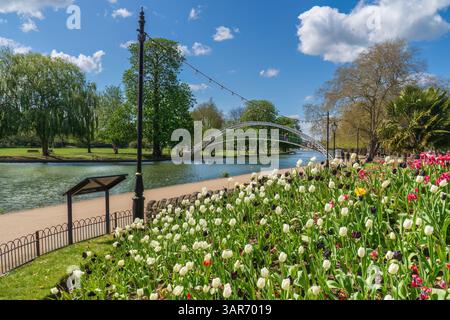 Primavera sull'argine di Bedford Foto Stock